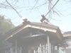 Main Shrine